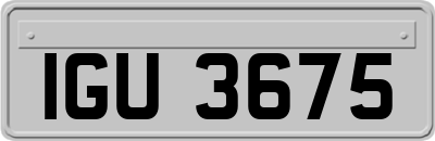 IGU3675