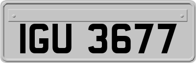 IGU3677