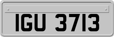 IGU3713