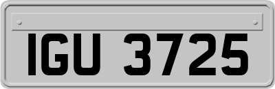 IGU3725