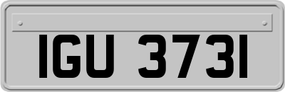 IGU3731