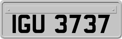 IGU3737
