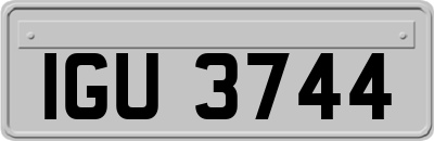 IGU3744