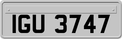 IGU3747