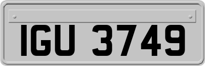 IGU3749