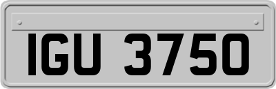 IGU3750