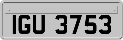 IGU3753