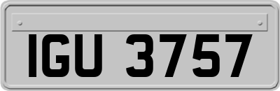 IGU3757