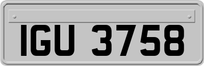 IGU3758