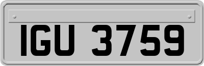 IGU3759