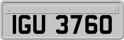 IGU3760