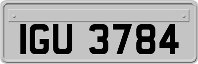 IGU3784