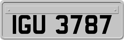 IGU3787