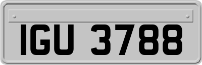 IGU3788