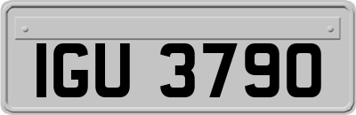 IGU3790