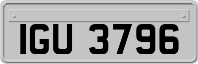 IGU3796