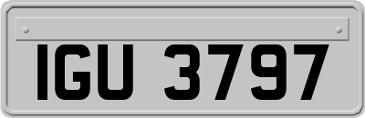 IGU3797