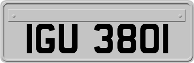 IGU3801