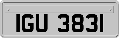 IGU3831