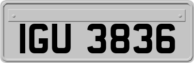 IGU3836