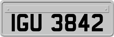 IGU3842