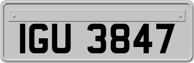 IGU3847