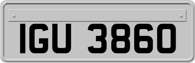 IGU3860