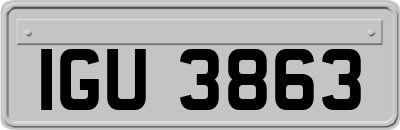 IGU3863