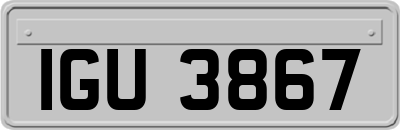 IGU3867