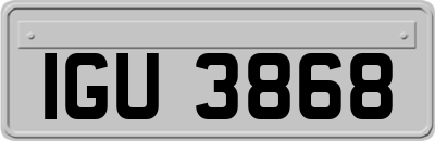 IGU3868