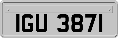 IGU3871