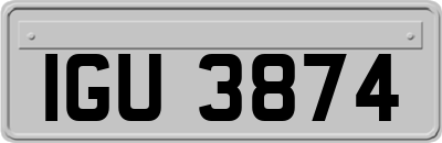 IGU3874
