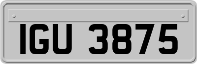 IGU3875