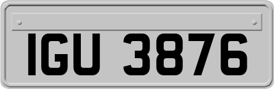 IGU3876