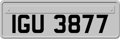 IGU3877