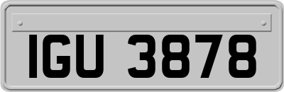 IGU3878