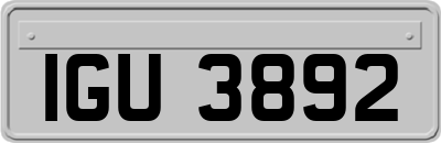 IGU3892