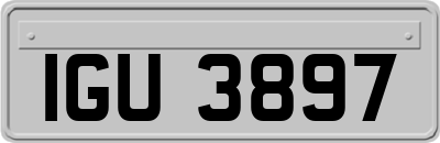IGU3897