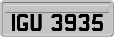 IGU3935