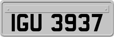 IGU3937