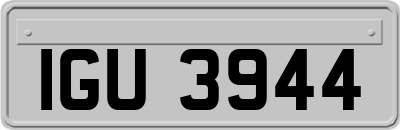 IGU3944