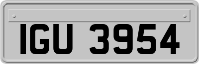 IGU3954