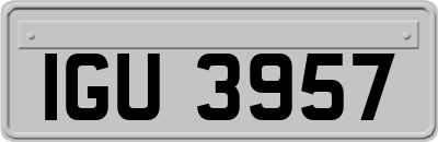 IGU3957