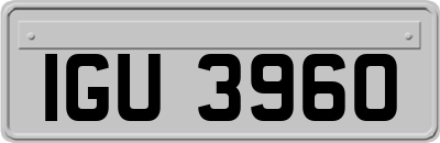IGU3960
