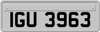 IGU3963