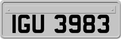 IGU3983