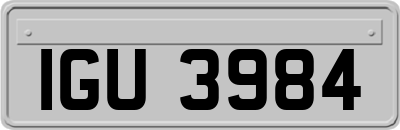 IGU3984