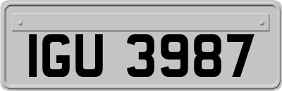 IGU3987