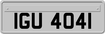 IGU4041