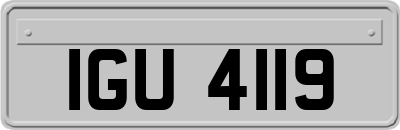 IGU4119